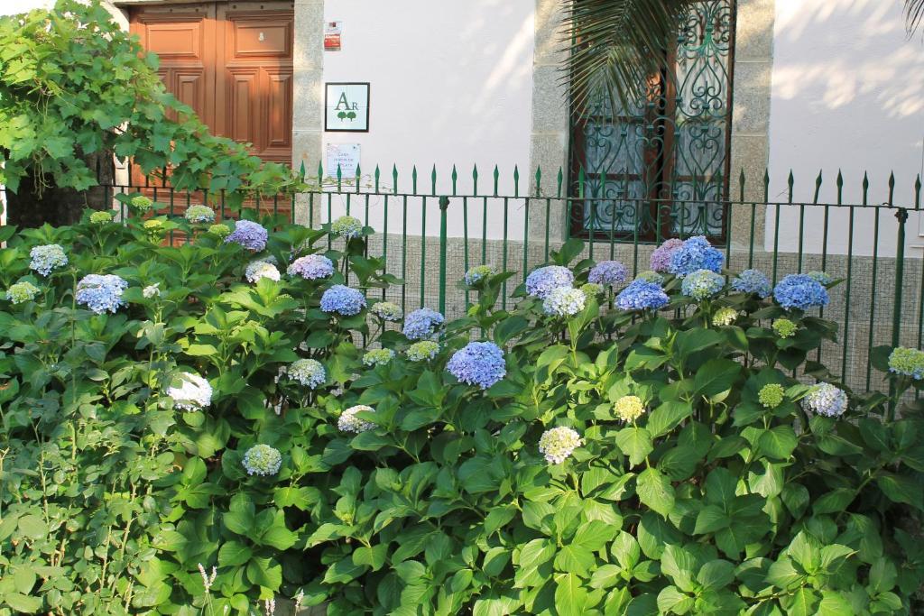 Апартаменты Casa Jardin De La Plata Баньос-де-Монтемайор Экстерьер фото